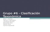 Clasificación Taxonómica (Corregida)