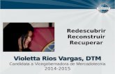 Propuesta de Mercadotecnia 2014-2015. Violetta Rios