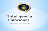 Inteligencia emocional[1]