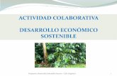 Modelo Desarrollo Sostenible Socorro