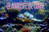 El arrecife de coral