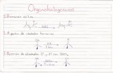 Reaccionario quimica orgnica 2