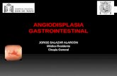 Angiodisplasia gastrointestinal / gastrointestinal angiodysplasia