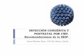 Infección congénita y postnatal por cmv. Recomendaciones de la SEIP