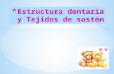 Estructura dentaria y tejidos de sosten