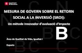 Mesura de govern sobre el Retorn Social de la Inversió (SROI)