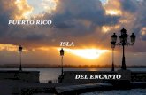 Puerto Rico Isla Del Encanto2 Alicea