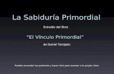La sabidura primordial_daniel_taroppio