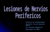 Lesiones de nervios perifericos
