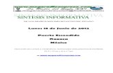 Sintesis informativa 18 06 2012