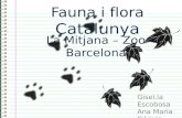 Hist. Catalunya: Fauna i flora Catalunya