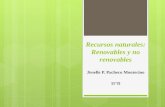 Recursos naturales: renovables y no renovables