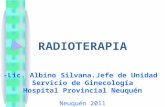 Radioterapia seminario 2011
