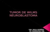 Tumor de wilms & Neuroblastoma