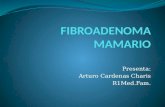 Fibroadenoma mamario