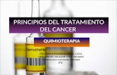 Principios de Quimioterapia 2010