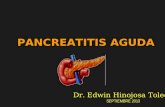 Pancreatitis aguda 2013