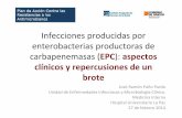 Infecciones producidas por enterobacterias productoras de carbapenemasas (EPC): aspectos clínicos y repercusiones de un brote