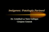 Patología Perineal en Imágenes