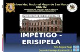 IMPETIGO y ERISIPELA - Fisiopatologia, Clinica e Histologia