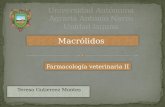 Antibioticos macrolidos (1)