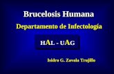 Brucelosis Saltillo 05