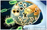 Antimicrobianos y Antibiograma