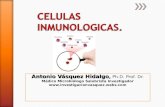 Celulas inmunologicas