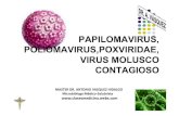 Microsoft power point   papillomavirus [modo de compatibili