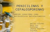 penicilinas y cefalosporinas