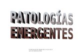Patologias emergentes