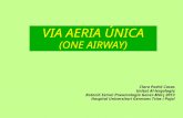 One airway   copia