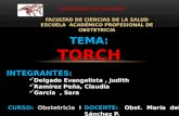TORCH (CLAUDIA RAMIREZ)