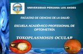 Toxoplasmosis angelica