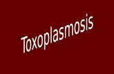 Toxoplasmosis presentación