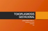Toxoplasmosis gestacional