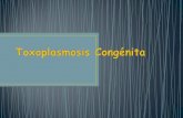 Toxoplasmosis  CongéNita 2011