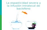 La espasticidad severa y la infusión intratecal de baclofeno (Mayo de 2011)