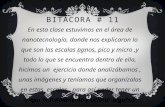Bitacora 11