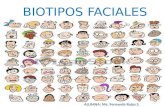 Biotipos faciales