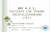 Gpc no. 1.1 tec