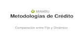 Metodologias Crediticias
