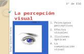 La percepción visual y lectura de imágenes