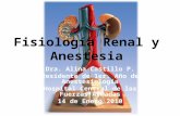 FisiologíA Renal Y Anestesia