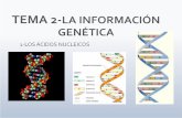 La información genética