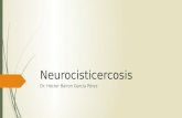 Neurocisticercosis Fisiopatologia