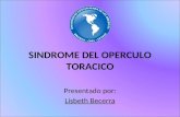 Sindrome del operculo_toracico(neurofisiologia)