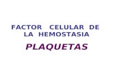Activacion plaqueta