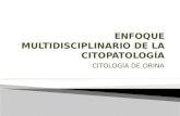 Enfoque multidisciplinario de la citopatología citología de orina