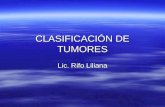 Clasificación de tumores